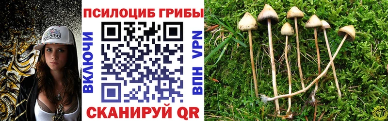 Купить где  Кушва  Галлюциногенные грибы мухоморы 